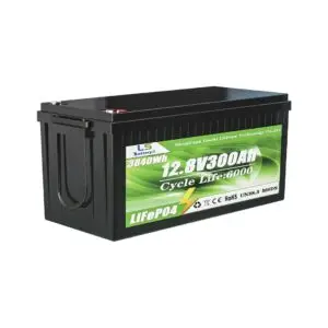 LS 12.8V 300 Ampere Lithium Battery