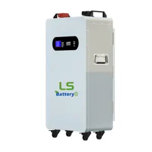 LS 51.2V 200 Ampere Lithium Battery